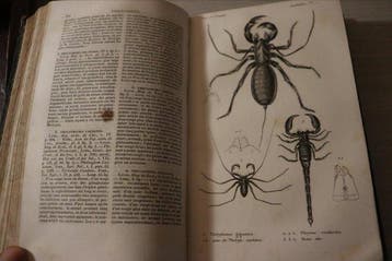 M. Lucas - Histoire naturelle des crustacés, des arachnides