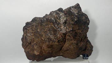 XXL museumkwaliteit (Achondrite-prim-ung) NWA 16639 Dit is