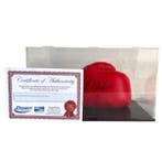 Nathan Cleverly - Bokshandschoenen, Nieuw