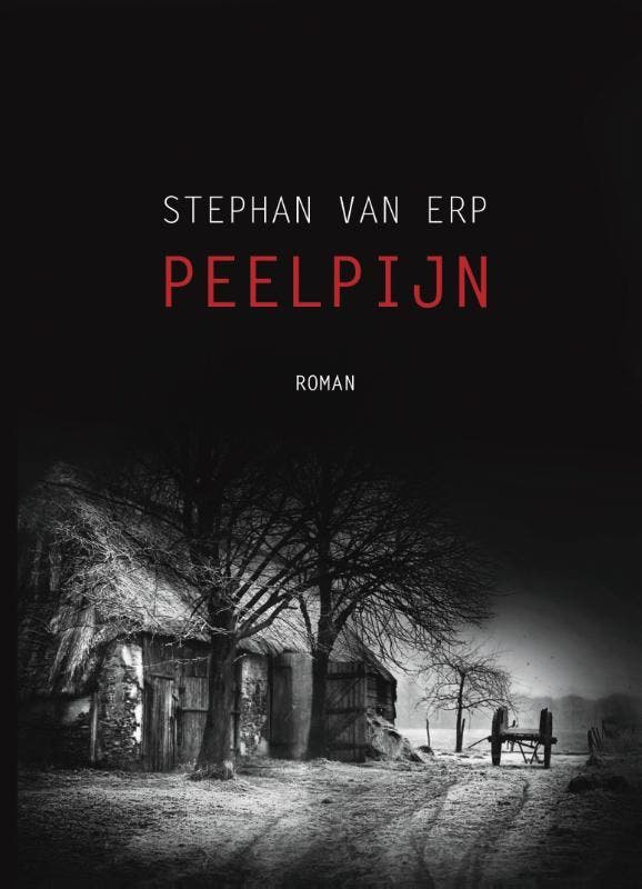 Peelpijn - Stephan van Erp 9789082577846, Boeken, Romans, Gelezen, Verzenden
