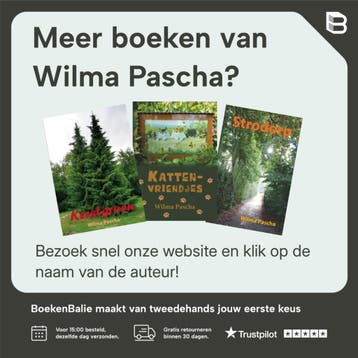 Het gaat eigenlijk nergens over 9789491777318 Wilma Pascha, Verzenden, Zo goed als nieuw, Wilma Pascha