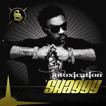 Shaggy - Intoxication, Ophalen of Verzenden, Gebruikt