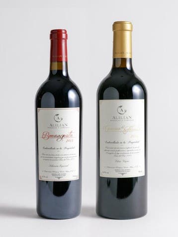 2013 Bodegas y Viñedos Alilian, Camino del Abuelo & 2013, Nieuw