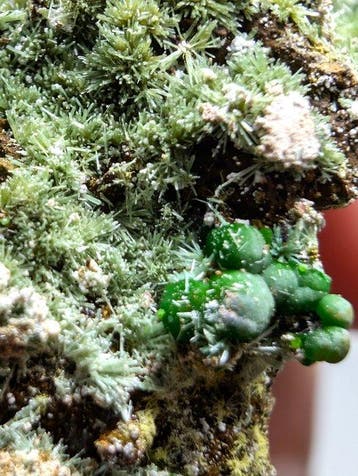 Oliveniet met galena en conichalciet—een verbazingwekkend,, Verzamelen