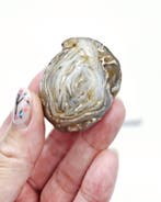 Water agaat - Enhydro Agaat (zie filmpje), Verzamelen, Ophalen of Verzenden