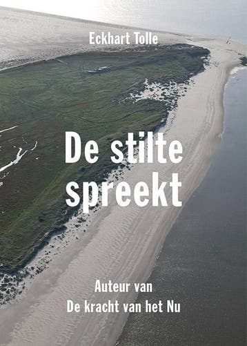 De stilte spreekt - Eckhart Tolle 9789020210385, Verzenden, Gelezen, Eckhart Tolle