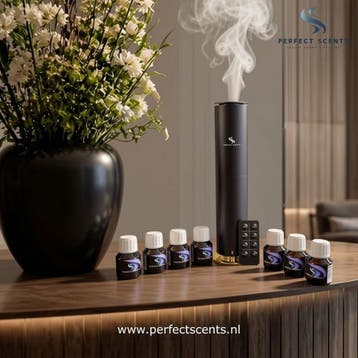 GRATIS Geurmachine - Geurdiffuser in ons Real Deal pakket, Ophalen of Verzenden, Nieuw, Aroma
