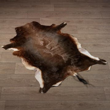 Blesbok Huid Taxidermie Opgezette Dieren By Max, Ophalen of Verzenden, Nieuw, Wild dier, Opgezet dier