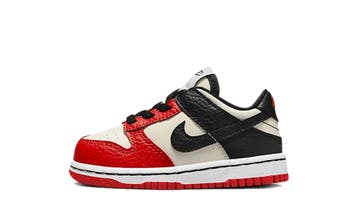 Nike Dunk Low EMB NBA 75th Anniversary Chicago (TD), Nieuw