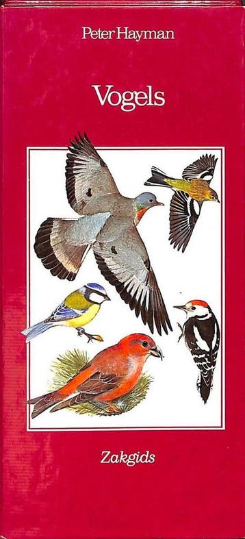 Vogels - Hayman 9789021010120, Verzenden, Gelezen, Hayman