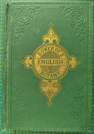 James Sowerby / J.T. Boswell Syme - English Botany, Vol. IV