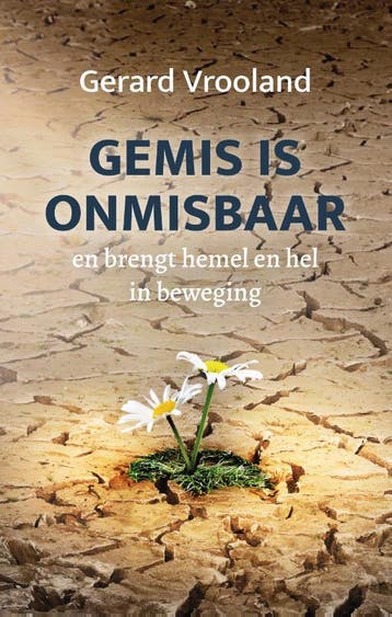Gemis Is Onmisbaar | Gerard Vrooland | Nieuw, Ophalen of Verzenden, Nieuw, Gerard Vrooland