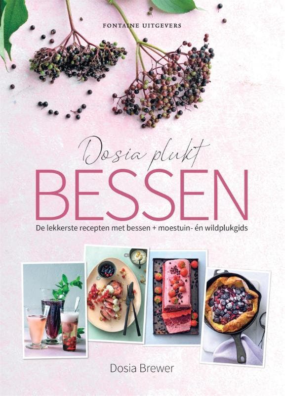 Dosia plukt bessen 9789464040425 Dosia Brewer, Boeken, Kookboeken, Zo goed als nieuw, Verzenden