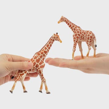 Set van 4 Realistische Giraffe Figuren - Speelgoed Dieren vo