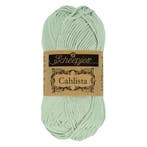 Scheepjes Cahlista 50 gr - 402 Silver Green, Verzenden, Nieuw