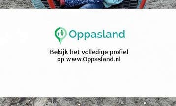 Brent zoekt een oppas in Loenen voor 2 kinderen op dinsda..., Vacatures