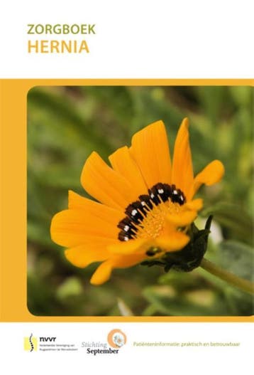 Hernia / Zorgboek 9789086482856, Verzenden, Gelezen
