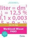 Werkboek Wiscat PABO 9789082792928, Boeken, Zo goed als nieuw