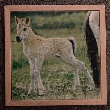 Educo Puzzel Veulen (36 stukjes), Verzenden, Nieuw