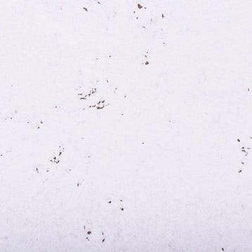 Wandkurk tegel - Sneeuw wit - 60 x 30 cm - 3mm dik - PER M2, Doe-het-zelf en Verbouw, Ophalen of Verzenden, Nieuw