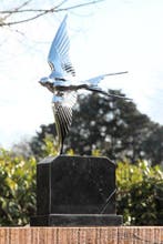 sculptuur, zilverplated bronzen zwaluw - 48 cm - brons