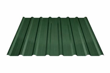 Damwandplaten dakplaten groen va. € 6,99m2, Ophalen of Verzenden, Nieuw, Overige materialen, Minder dan 20 mm