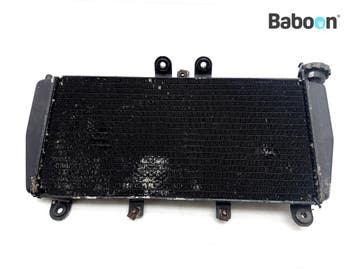 Radiateur Triumph Speed Triple 955 2002-2004 (VIN:, Verzenden, Gebruikt