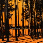 cd - Stephen Fearing - Yellow Jacket, Verzenden, Zo goed als nieuw