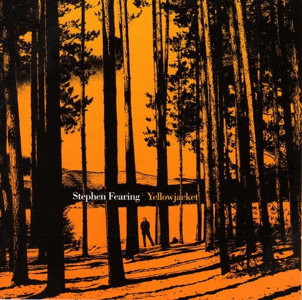 cd - Stephen Fearing - Yellow Jacket, Cd's en Dvd's, Cd's | Overige Cd's, Zo goed als nieuw, Verzenden