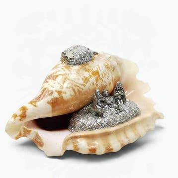 Kerststal - Schelp - Italiaans ambacht