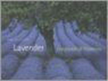 Lavender: Fragrance of Provence - Hans Silvester, Boeken, Verzenden, Gelezen, Hans Silvester