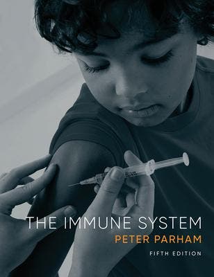 The Immune System 9780393533354, Boeken, Verzenden, Zo goed als nieuw