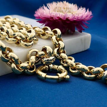Gouden jasseronschakel collier | 46 cm (Ketting), Ophalen of Verzenden, Gebruikt, Goud, Goud