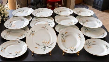 ADP - Tafelservies (24) - Porselein
