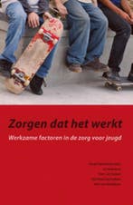 Boek Zorgen dat het werkt 9789088501319, Verzenden, Zo goed als nieuw