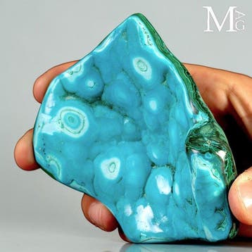 Levendige botryoidale chrysocolla met betoverende gepolijste