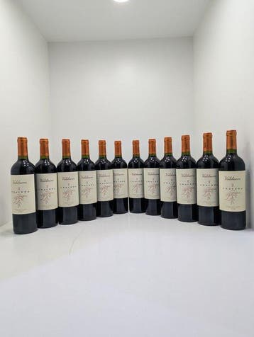 2020 Bodegas Valduero, Una Cepa - Ribera del Duero - 12, Verzamelen, Wijnen, Nieuw