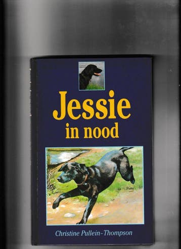 JESSIE IN NOOD - PULLEIN 9789035906662, Verzenden, Gelezen, PULLEIN