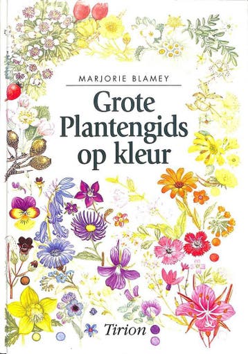 GROTE PLANTENGIDS OP KLEUR / Bloemen en planten - M. Blamey, Verzenden, Gelezen, M. Blamey