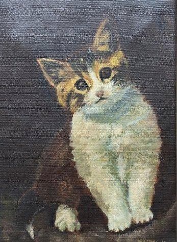 Kai Hermes (XX) - Schattig Katje