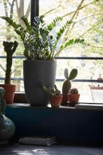 Capi Europe Vaas elegant laag Smooth NL 36x48cm Donkergrijs, Ophalen of Verzenden, Nieuw