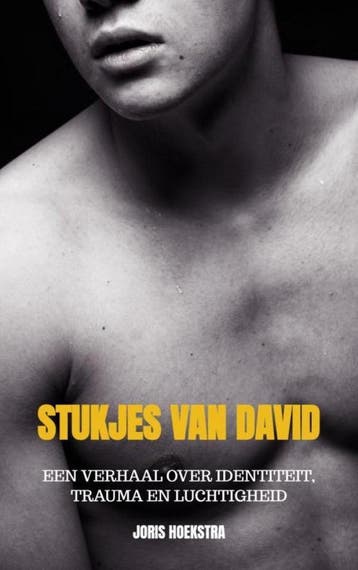 Stukjes van David - Joris Hoekstra 9789464189377, Verzenden, Zo goed als nieuw, Joris Hoekstra