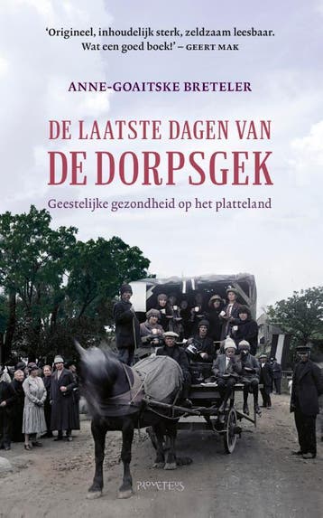 De laatste dagen van de dorpsgek - Anne-Goaitske Breteler, Verzenden, Zo goed als nieuw, Anne-Goaitske Breteler