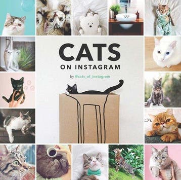Cats on Instagram - @Cats_Of_Instagram 9781452151960, Verzenden, Gelezen, @Cats_Of_Instagram