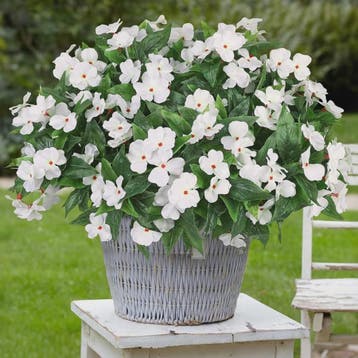 Zijden Balsam Kunstbloemen - Hoge Kwaliteit Decoratie voor B, Verzenden, Nieuw