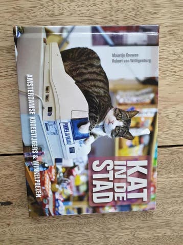 Kat in de Stad - Robert van Willigenburg 9789081711425, Boeken, Verzenden, Gelezen, Robert van Willigenburg