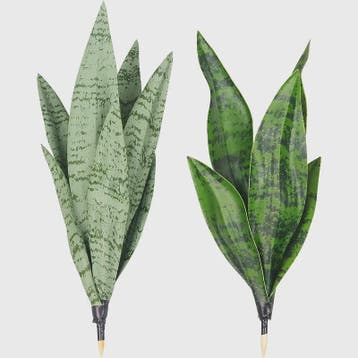 Kunst Sukkulenten Planten - Tropische Decoratie voor Huis, F, Huis en Inrichting, Verzenden
