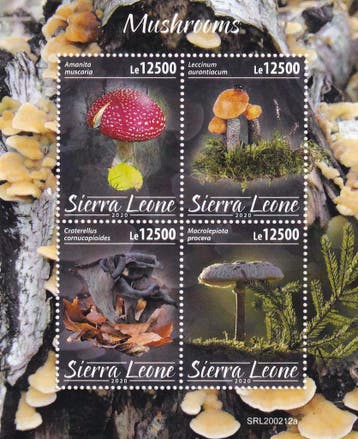 Sierra Leone - 2020 - Paddestoelen - Postfris, Verzenden, Postfris, Dier of Natuur