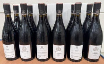2018 Château de Pommard Cuvée Vivant - Pommard - 12, Nieuw