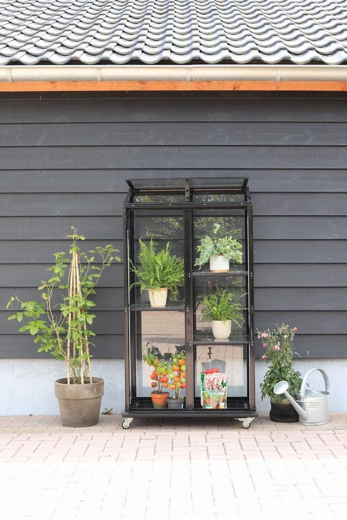 Pikasso Muurkas Verrijdbaar PREMIUM (gemonteerd bezorgd), Tuin en Terras, Kweekspullen, Kweekkast, Nieuw